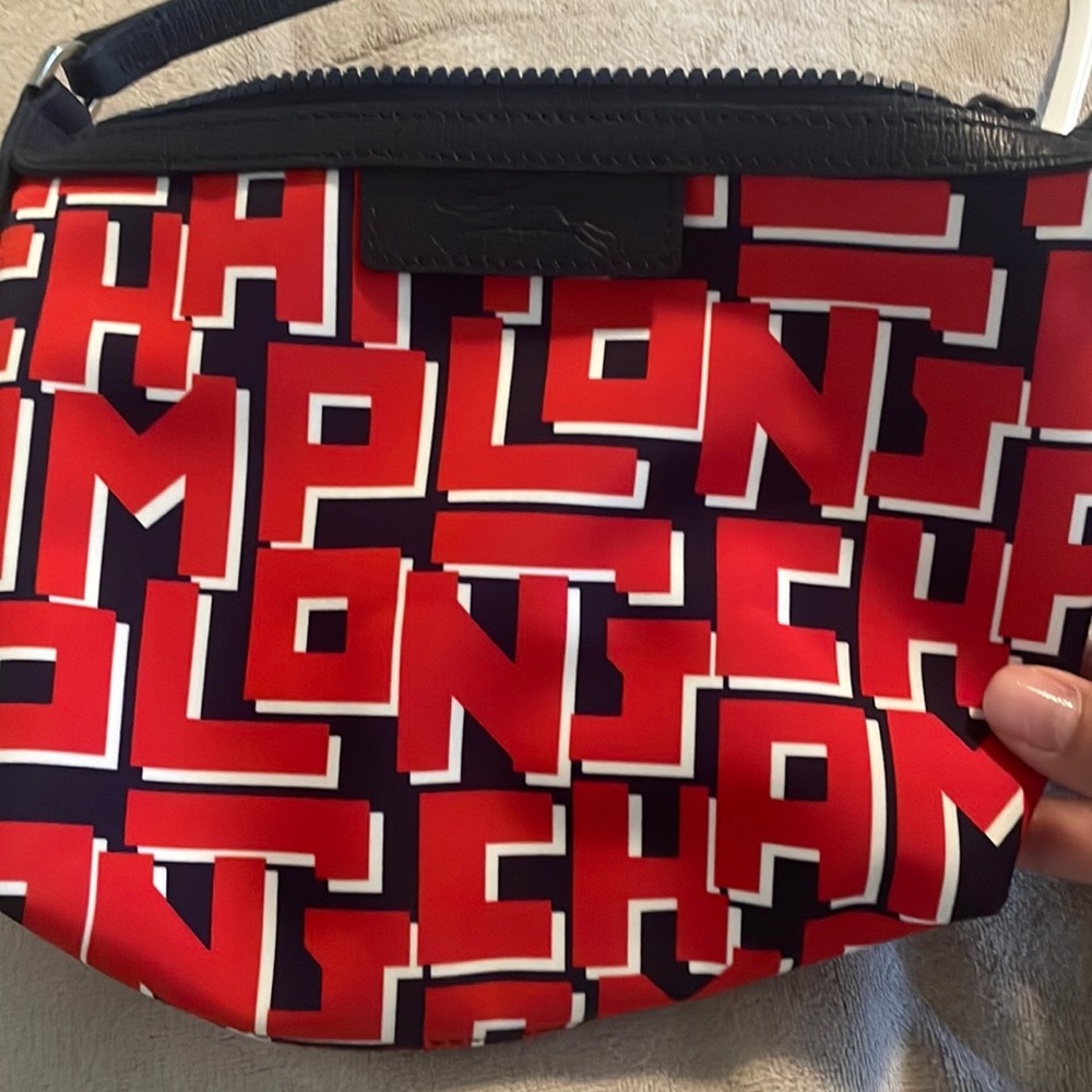 Longchamp never used small purse